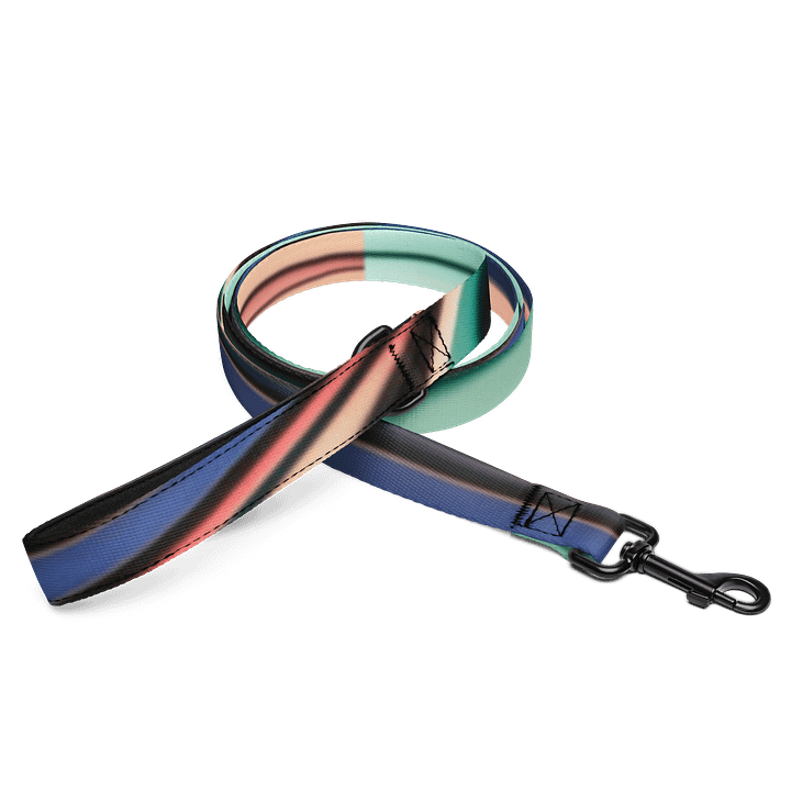 Graphic Grove Gradient Pet Leash - Exclusive Design, Durable & Stylish product image (1)