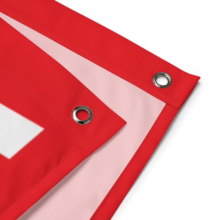 we do this not because it is easy flag product image (6)