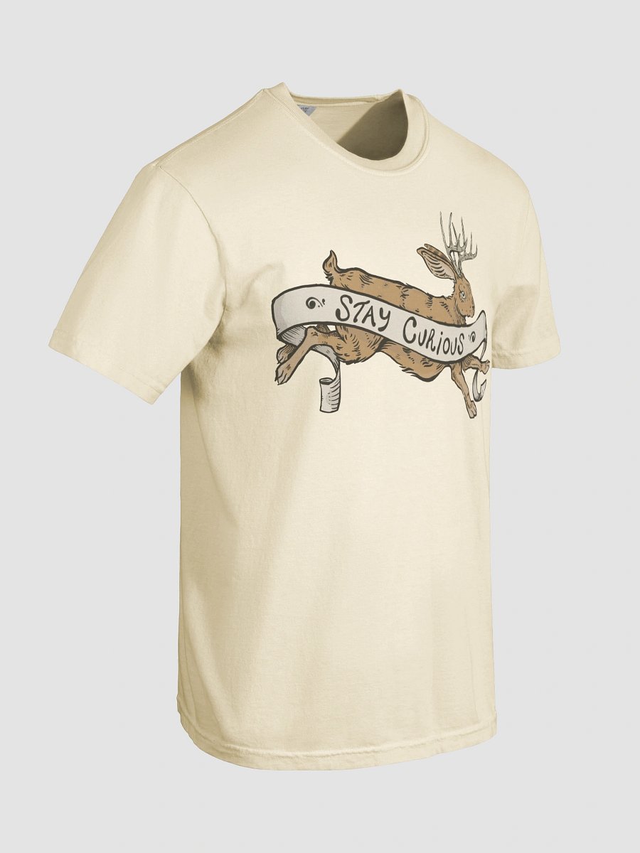 Stay Curious TEE product image (8)