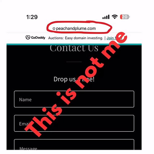 🛑 Heads up!
Someone bought peachandplume.com after my shop launched—and is using my brand name.

🚫 That site is NOT me.
✅ The...