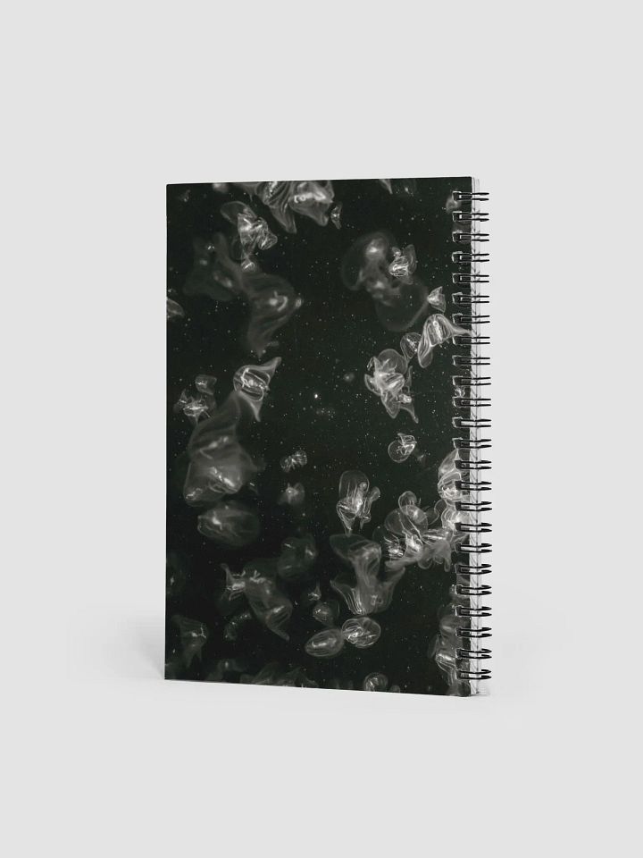 Fairy Lights Notebook product image (2)