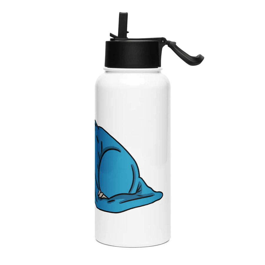 Stainless Steel Water bottle With Straw - Sleep product image (3)