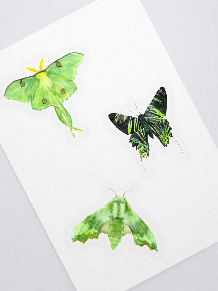 Green Moth Sticker Pack product image (1)