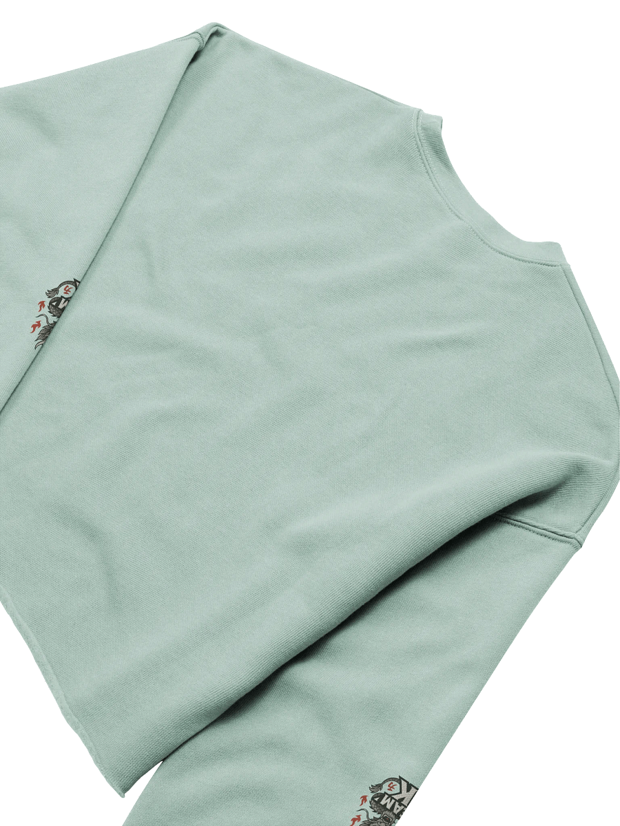 Team K China Crop Sweatshirt product image (16)