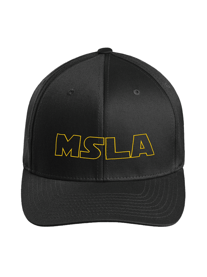 MSLA Dark Side Logo - Fittted Hat product image (8)