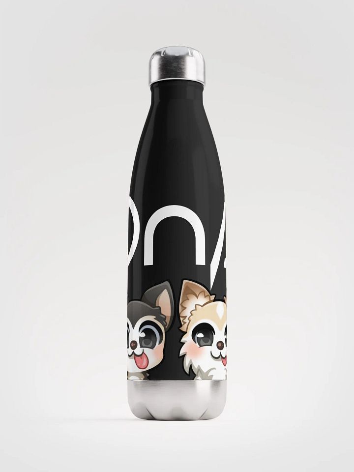 Steel Water Bottle (DnA) product image (1)