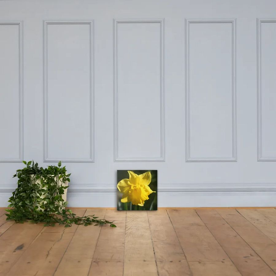 Daffodil product image (4)