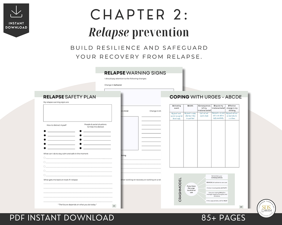 Addiction Recovery Workbook and Sobriety Journal - DIGITAL product image (4)