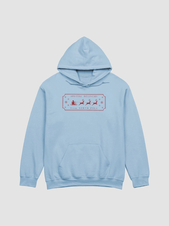 Special Delivery Postal Worker Unisex Hoodie product image (1)
