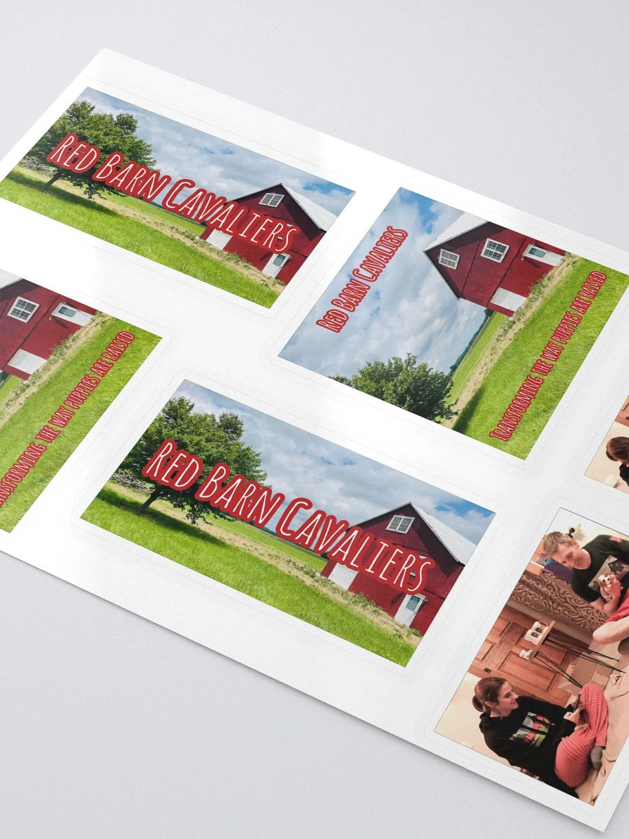RBC Logo & YouTube Sticker set product image (3)