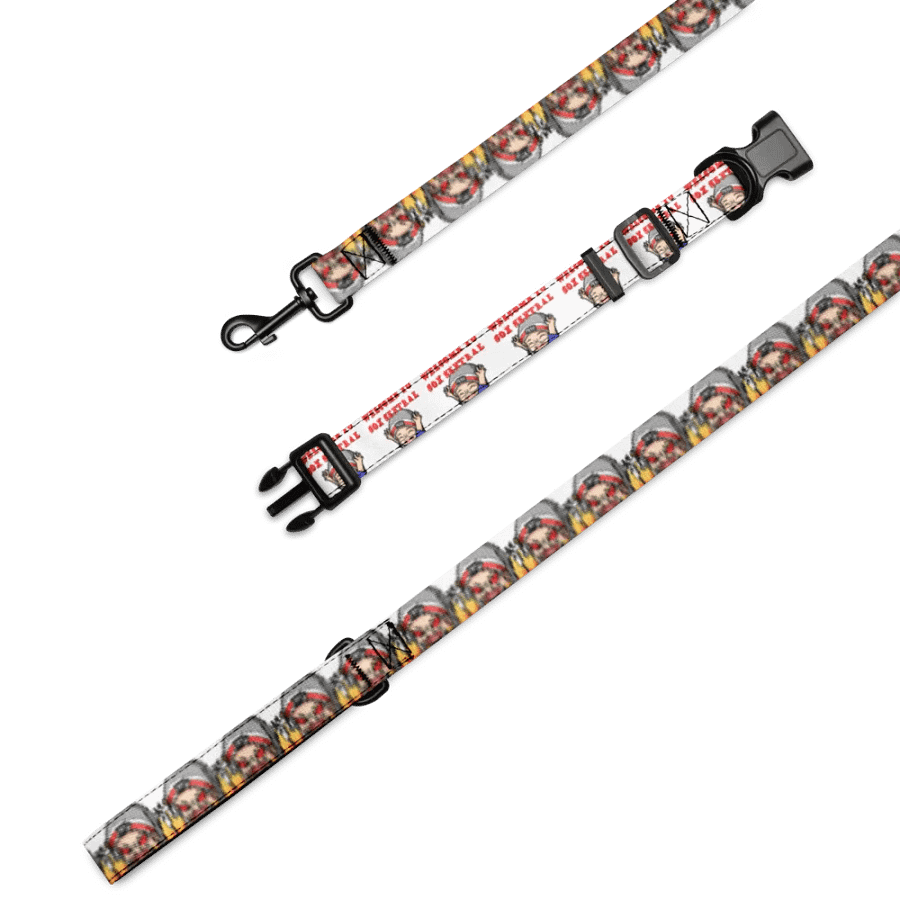 Sox Sentral Collar/Leash Combo product image (1)