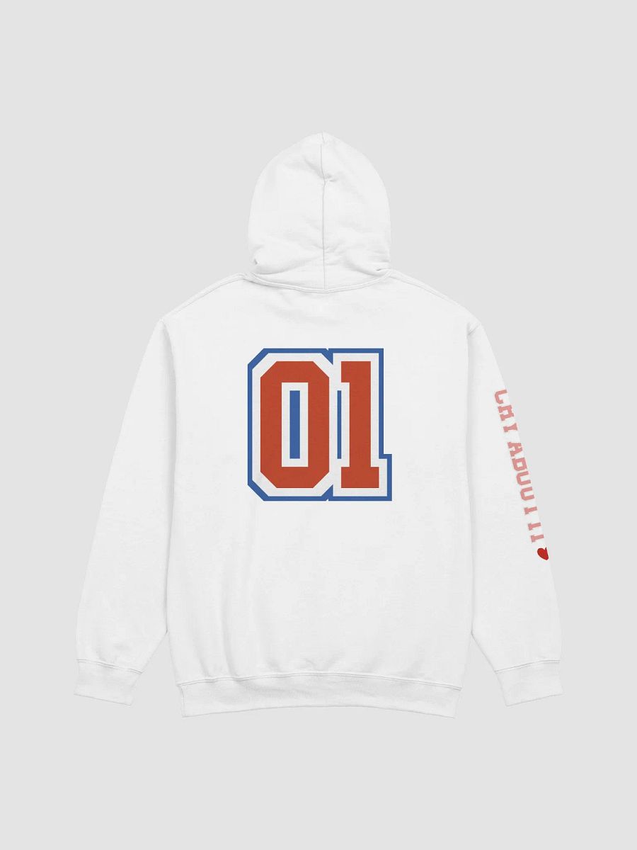 EST. 2001 HOODIE product image (4)