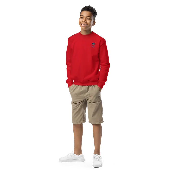 GUILLOVELO D' KID EMBROIDERED SWEATSHIRT product image (2)