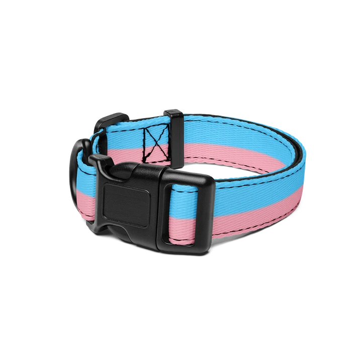 Trans Pride Pup Collar product image (1)