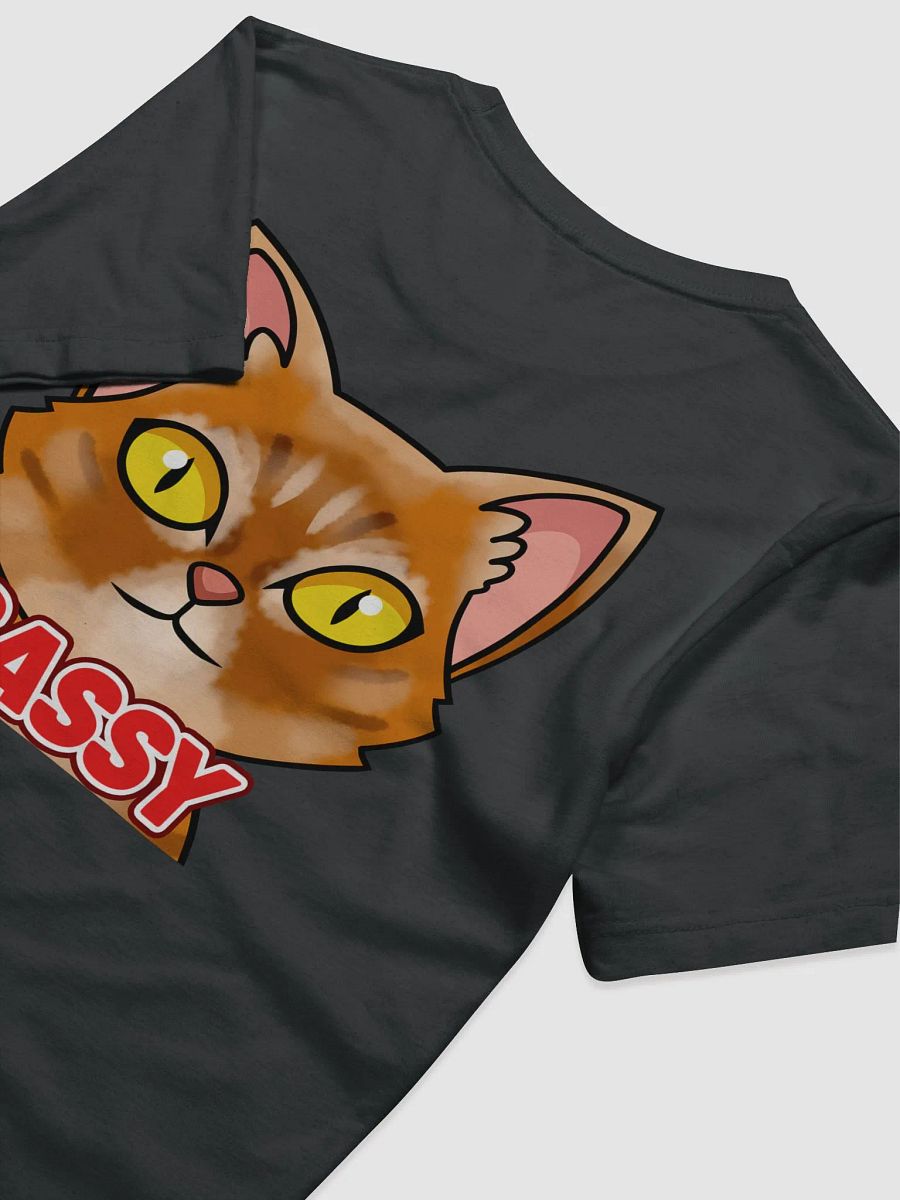 SASSY Pocket Tee product image (8)