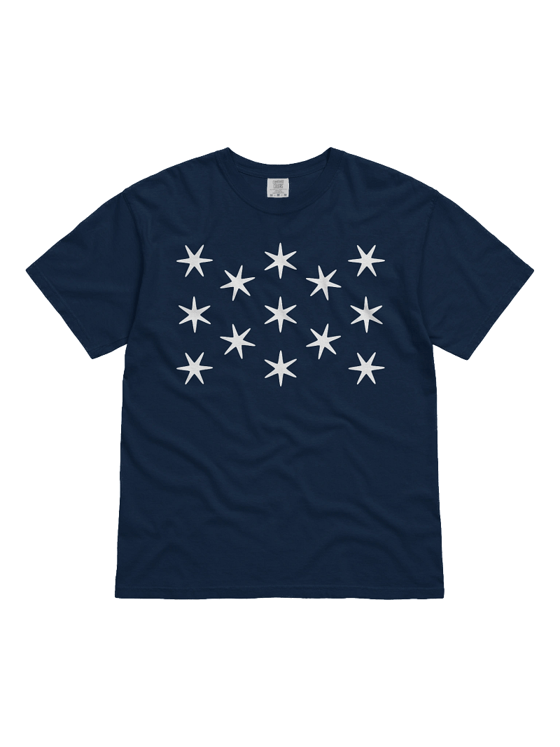 Washington Standard T-shirt