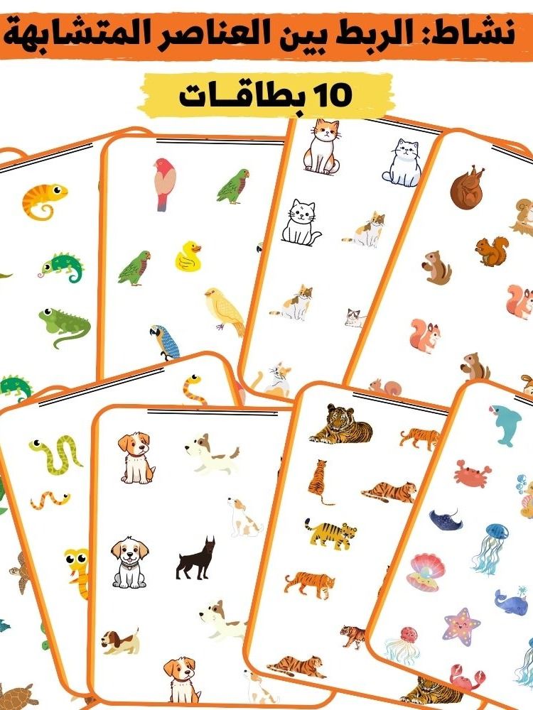 نشاط: 10 بطاقات ملوّنة | الربط بين العناصر المتشابهة - pdf product image (1)