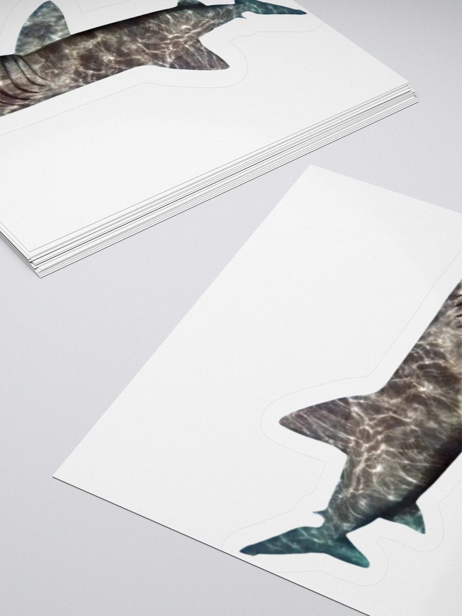 giant basking shark sticker product image (14)