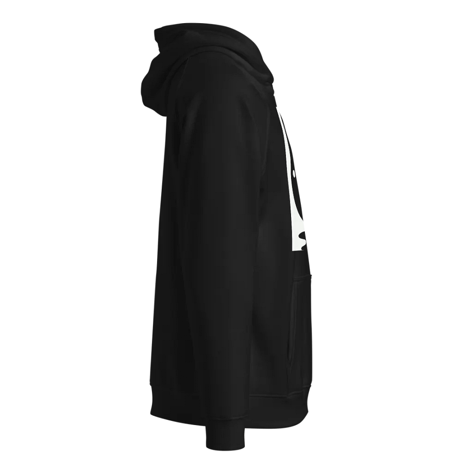 SOL'S Unisex Eco Raglan Hoodie product image (3)