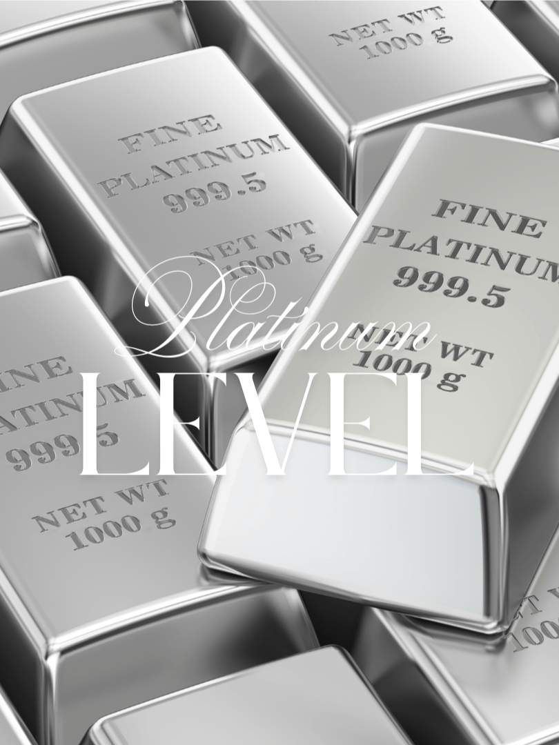 Platinum Level - Sponsorship product image (1)