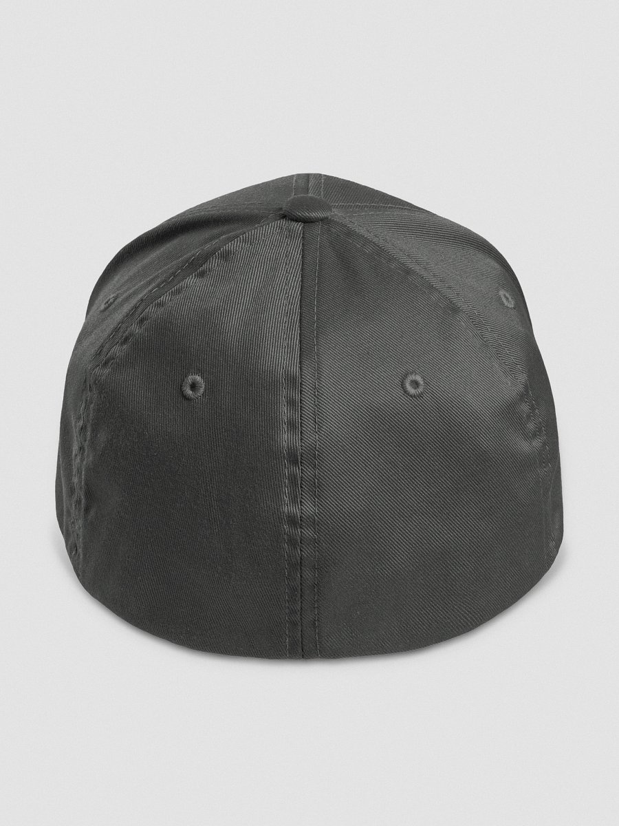 "Syndicate" Flex Fit product image (4)