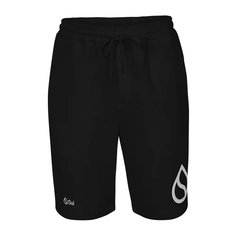 Men shorts product image (11)
