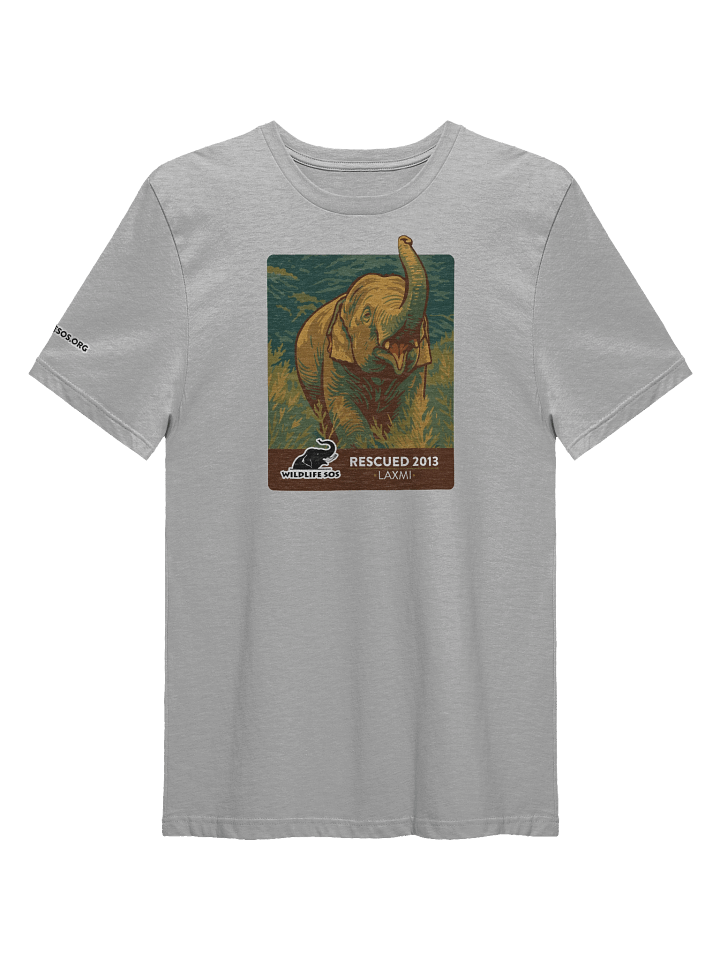 Laxmi - Rescued 2013! product image (2)