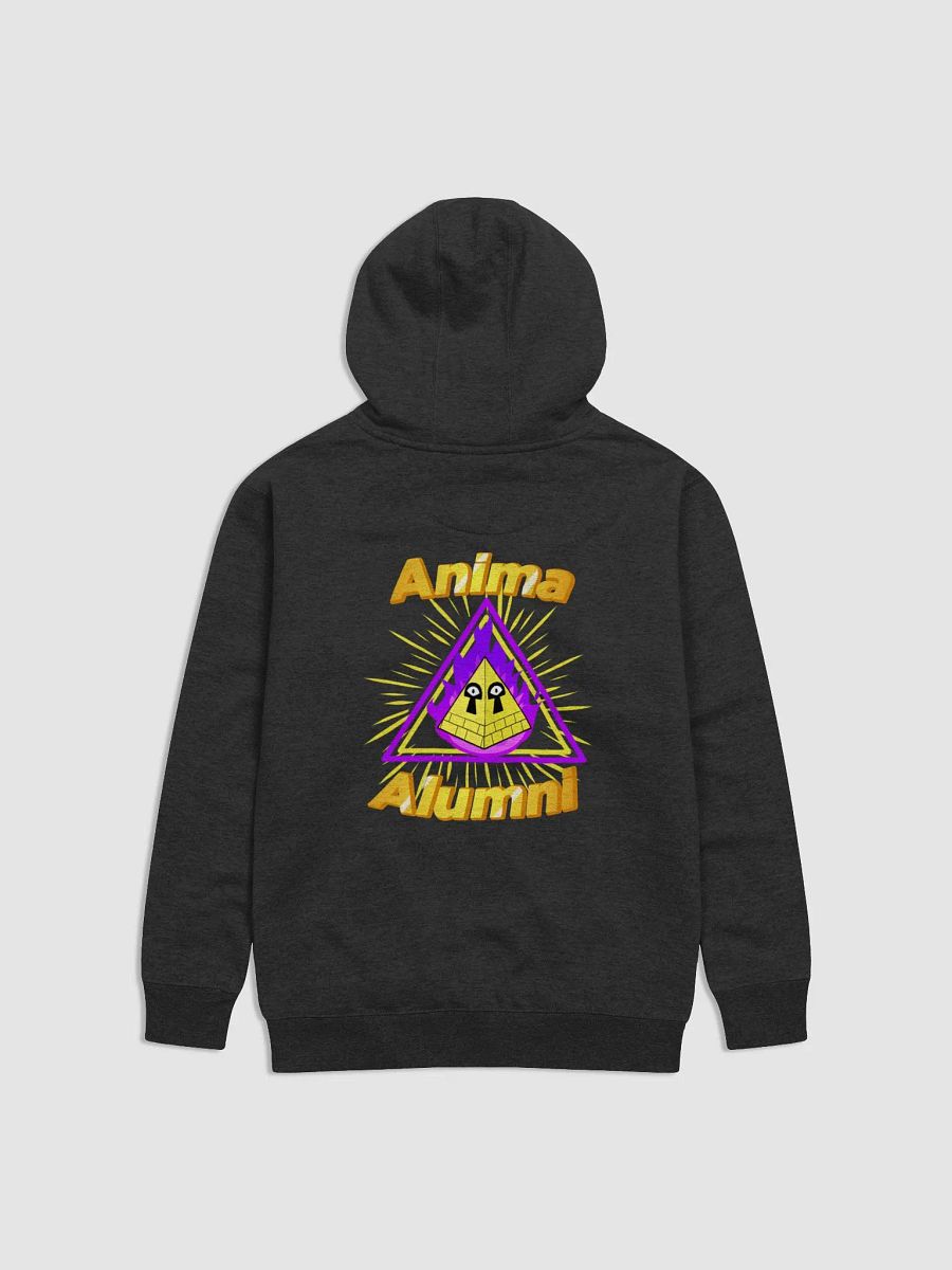 Anima Alumni Hoodie product image (2)