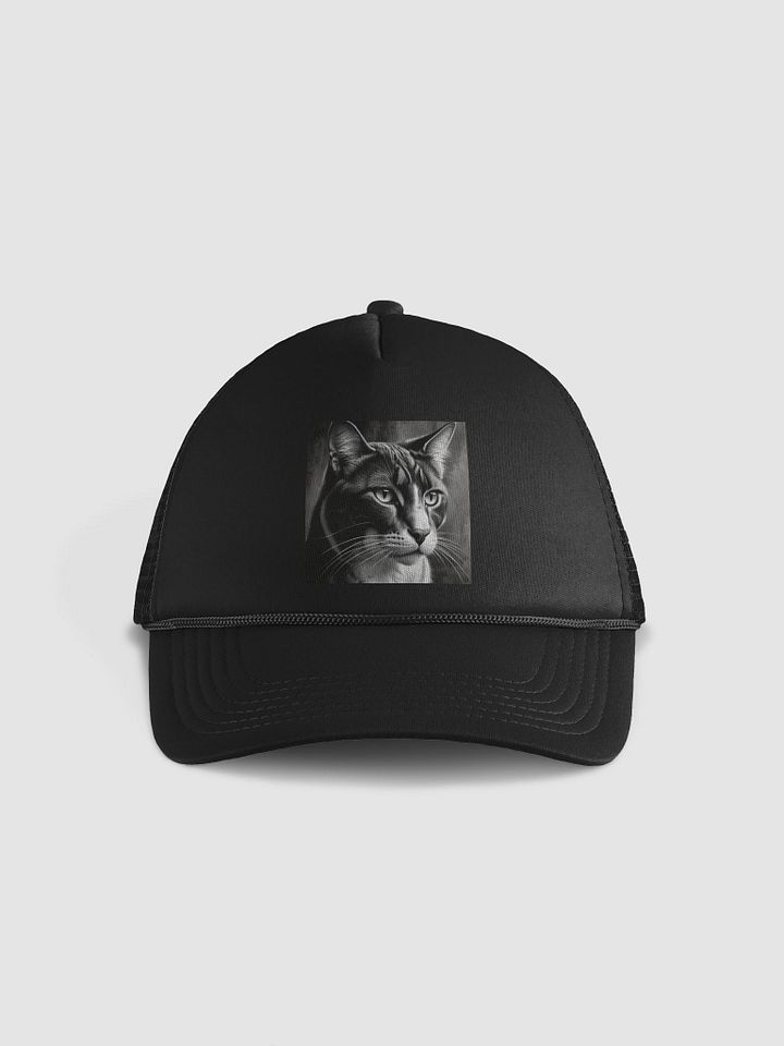 Cat product image (1)