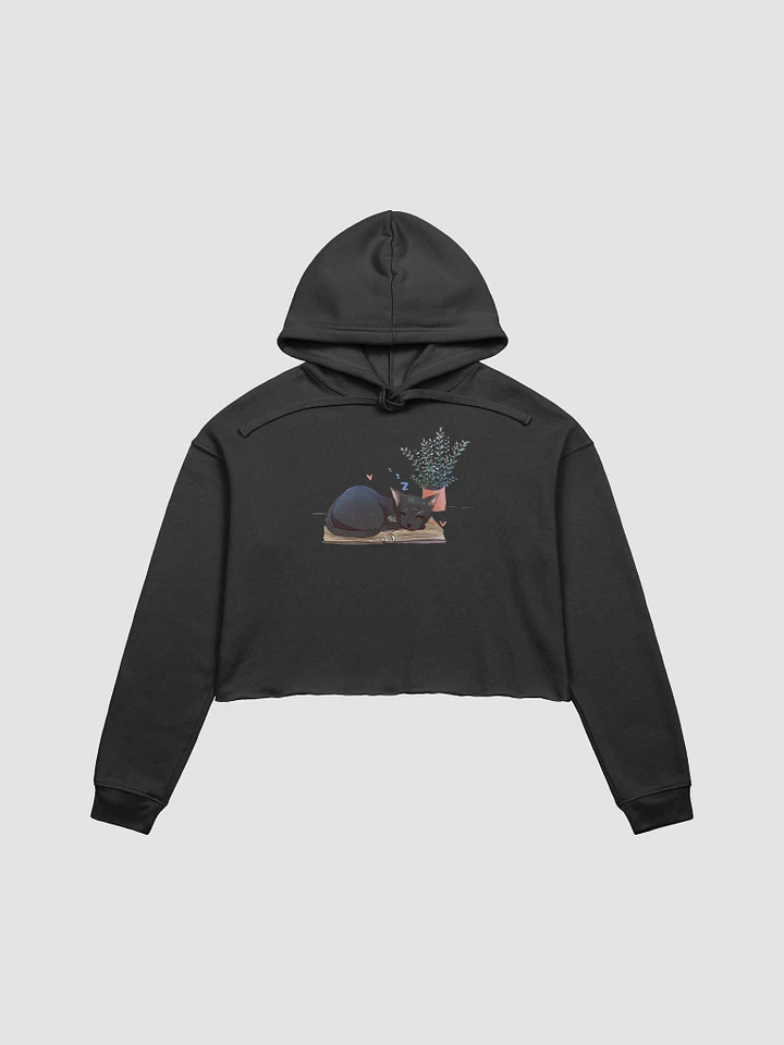 Locke Crop Hoodie product image (1)