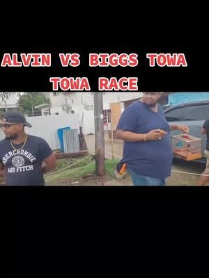 ALVIN VS BIGGS DEAD SQUAD TOWA TOWA BIRD COMPETITION #Towatowa #birdcompetition #tiktokhighlights #GOVIRAL #trendingvideo #viraltiktok #TOWATOWABIRDS #birds #guyana🇬🇾 