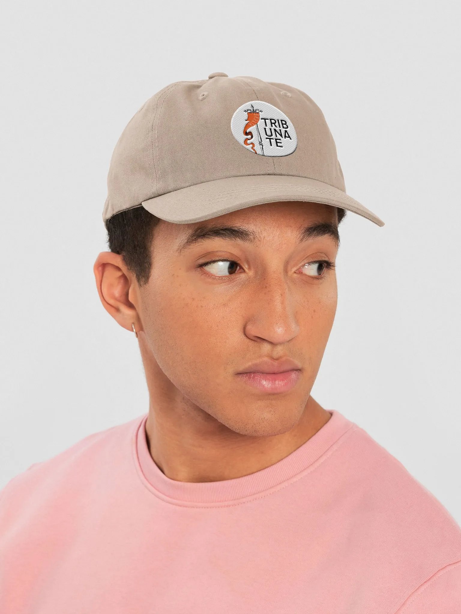 Tribunate Dad Hat product image (6)