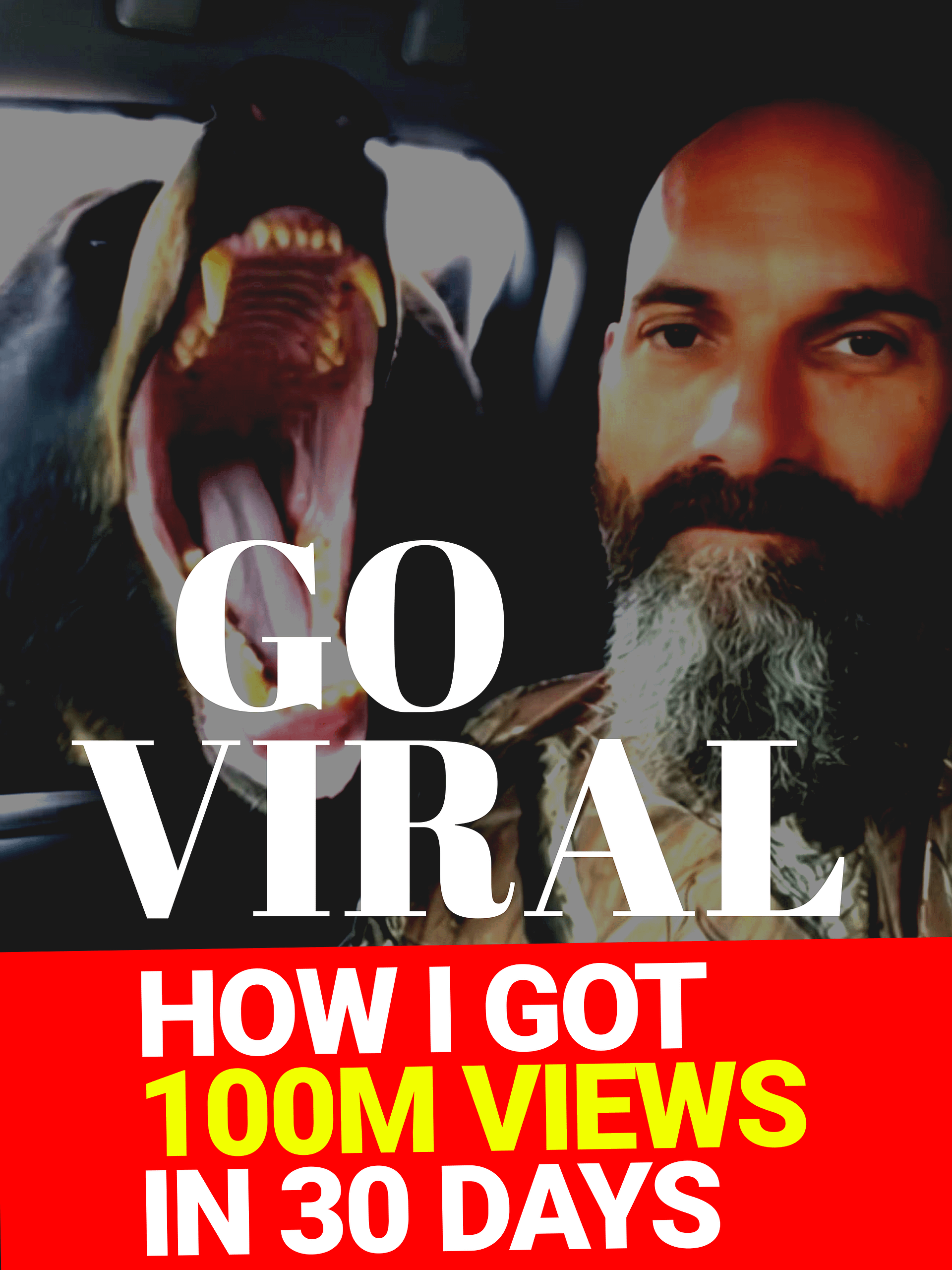 THE SAUCE (Learn how to create AI viral videos like Anthony Brock) product image (1)