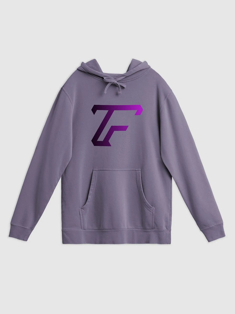 Vintage Washed Out TF Logo Hoodie product image (31)