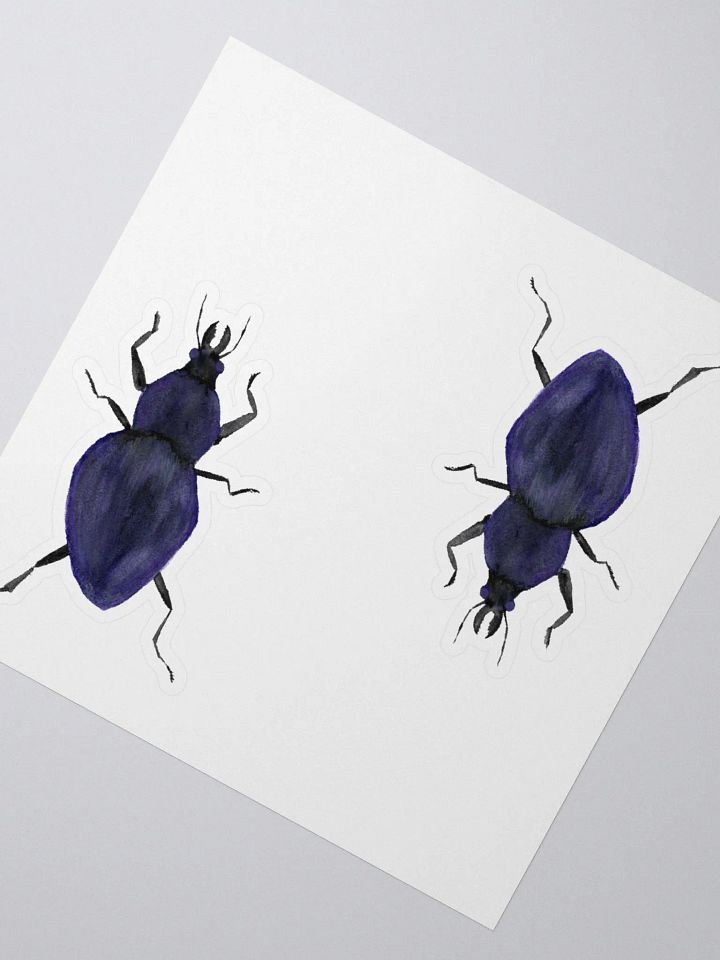 Rough Violet Ground Beetle Sticker (x2) product image (2)