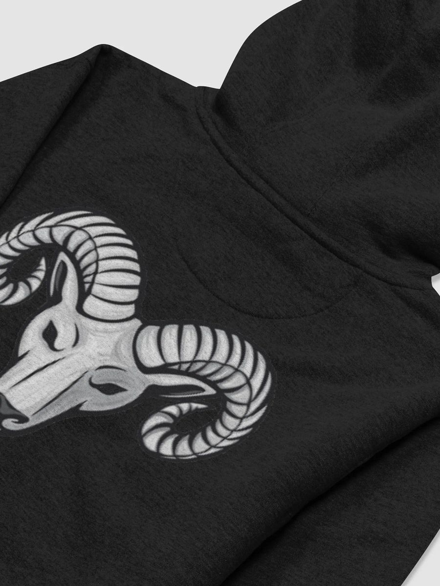 SAVYGANG ARIES HOODIE product image (4)