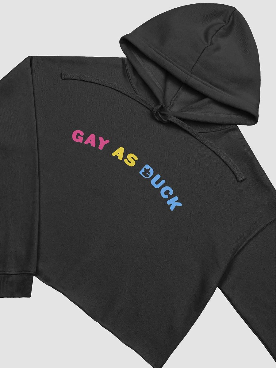 Gay As Duck Crop Hoodie - Pan product image (3)