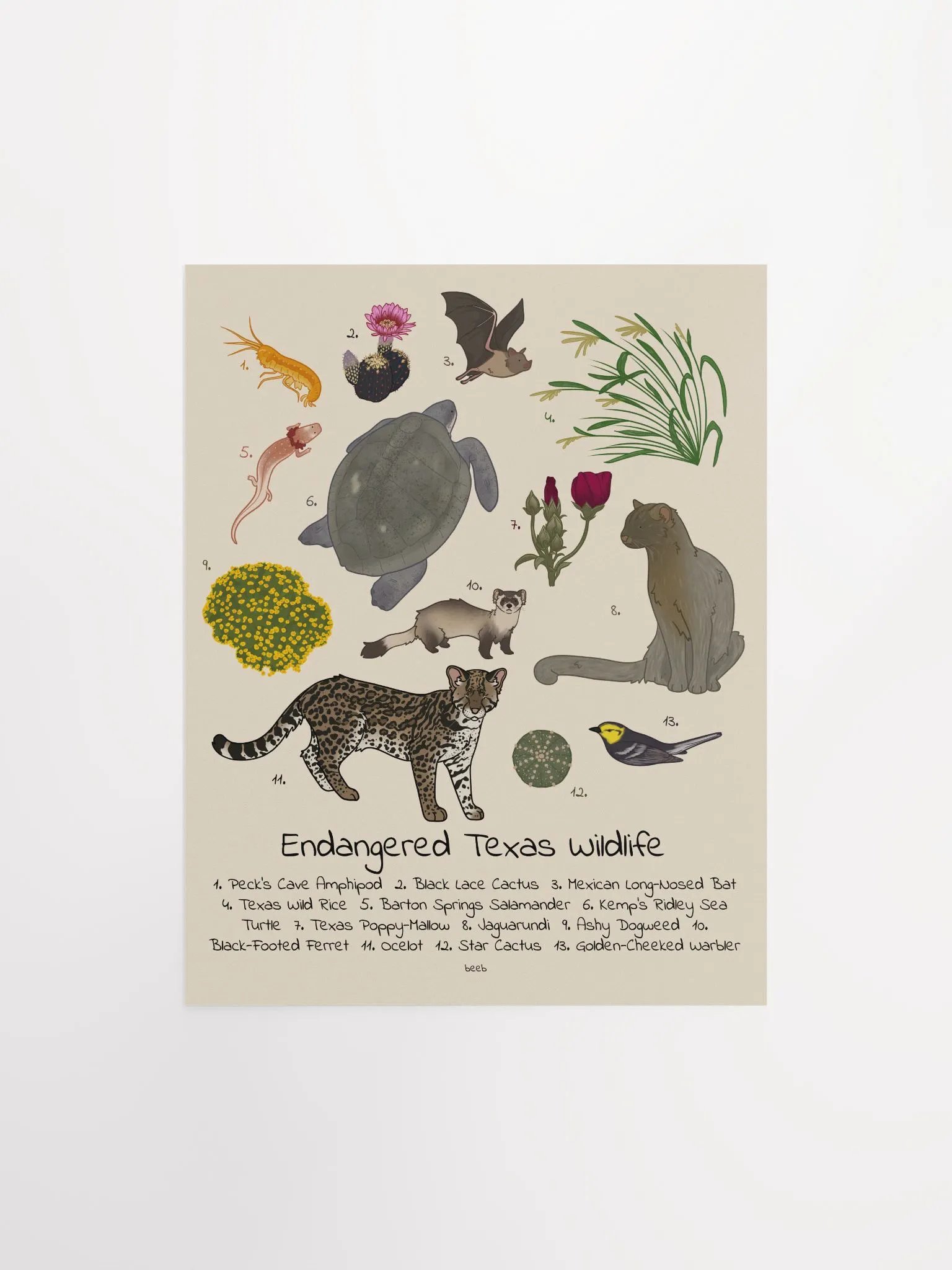 Endangered Texas Wildlife Print product image (1)