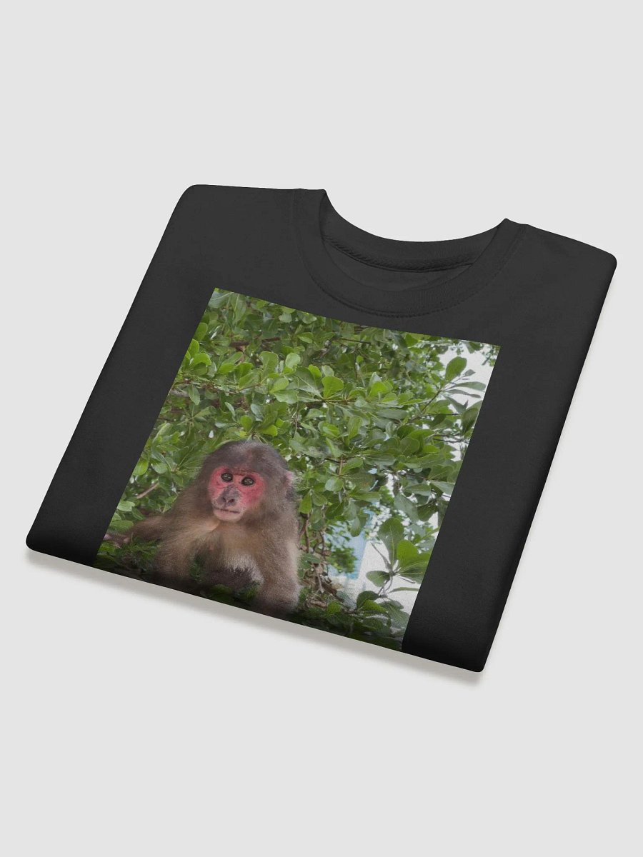 Monkey Coca product image (4)
