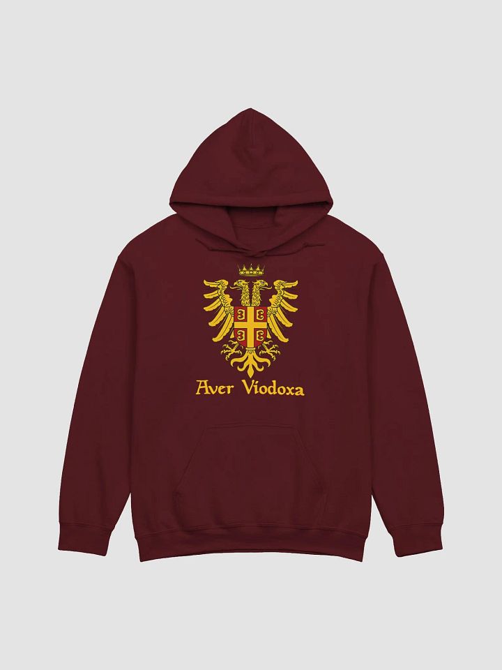 Aver Viodoxa Hoodie product image (2)