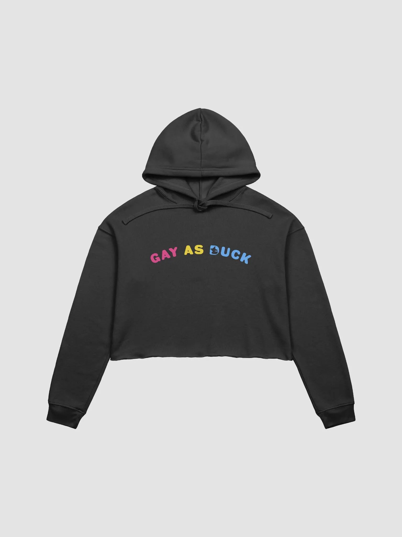 Gay As Duck Crop Hoodie - Pan product image (1)