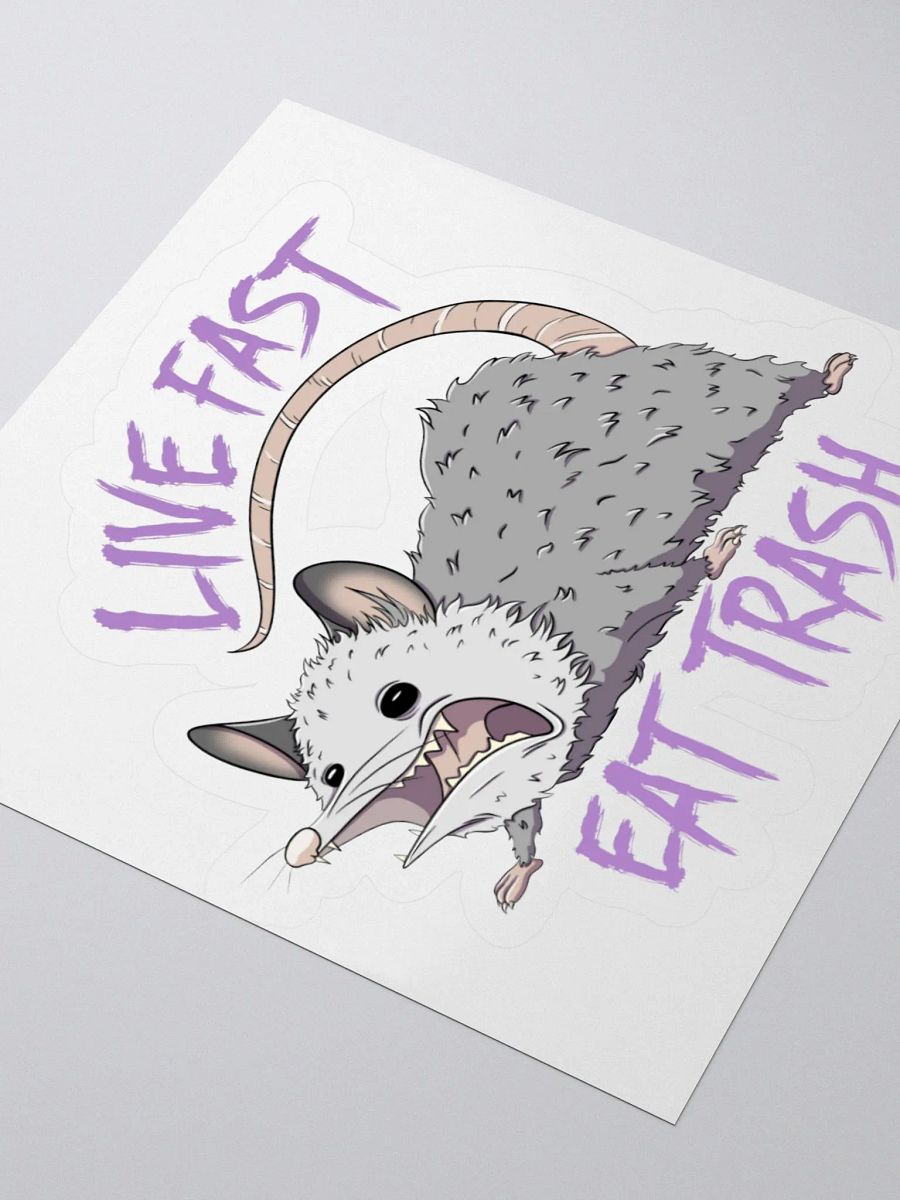 Live Fast Eat Trash Sticker product image (3)