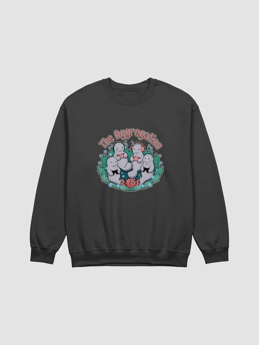 The Aggregation Crew Neck product image (3)