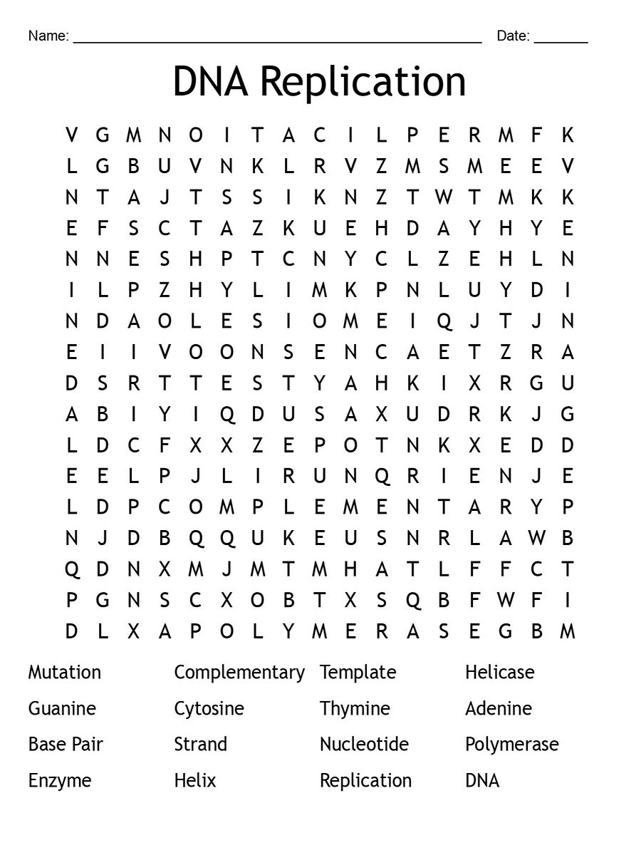 Printable DNA Replication Word Search – 16 Key Terms! product image (1)