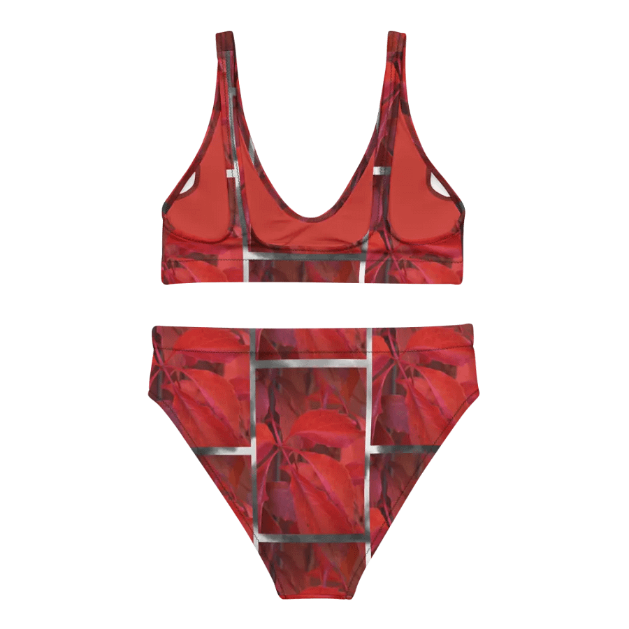 High-Waisted Bikini Set: Vildvin Red Dreams product image (4)