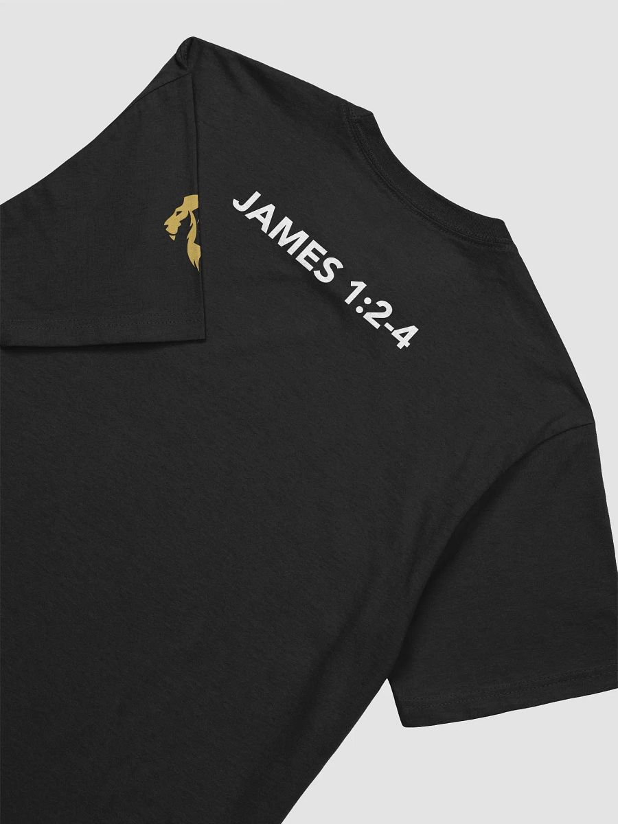 Adversity is Gods University product image (23)