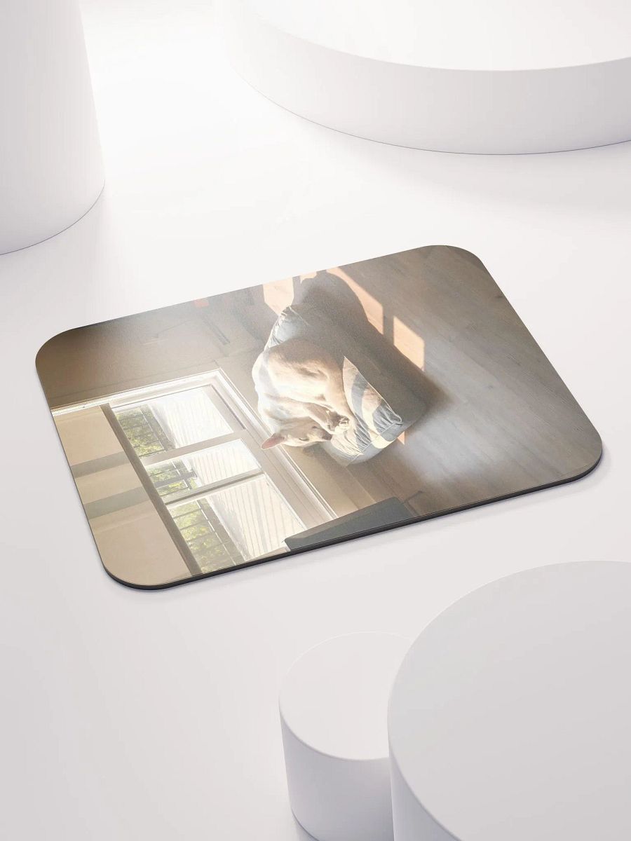 sunbeamn boy product image (5)
