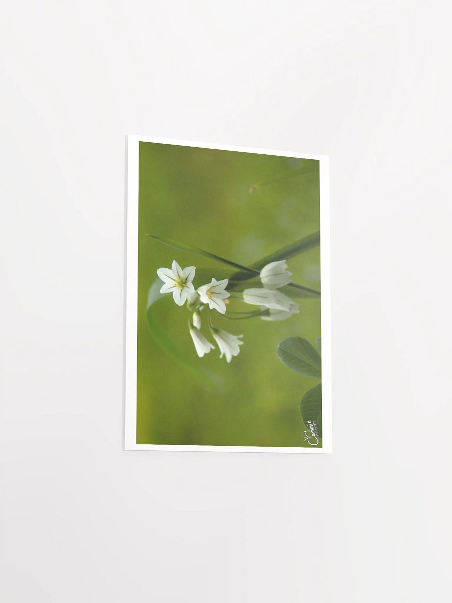 Nature's Beauty - Print product image (3)
