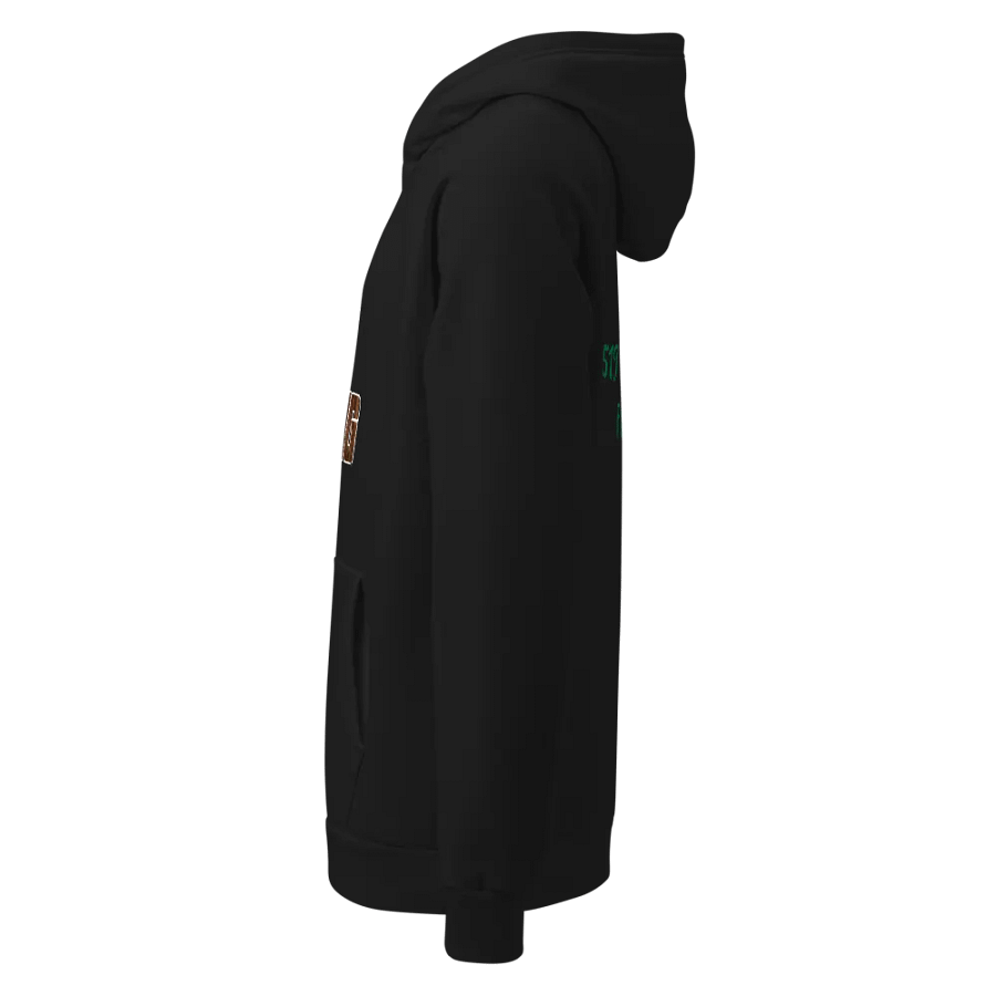 under armour 2022 annual hoody product image (2)