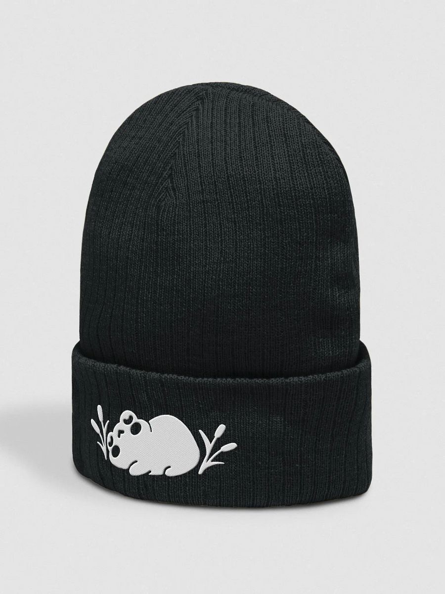 Eepy Fronk Beanie product image (2)